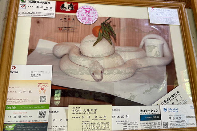photo